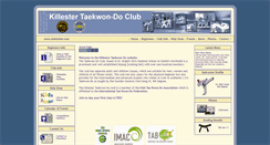 Desktop Screenshot of dublintkd.com